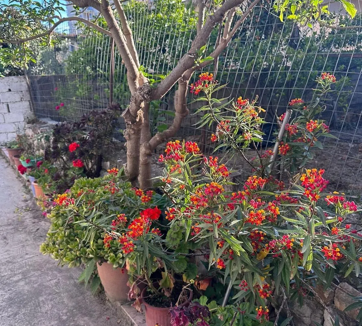 Ml Apartment Saranda אלבניה